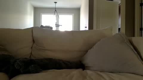 Snapshot of andees222 chatting on 19, 12, 2025 Andees222 online show from 19, 12, 2025