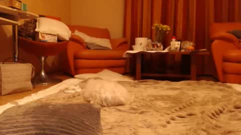 Snapshot of andrasweetie chatting on 1, 6, 2026 Andra online show from 1, 6, 2026