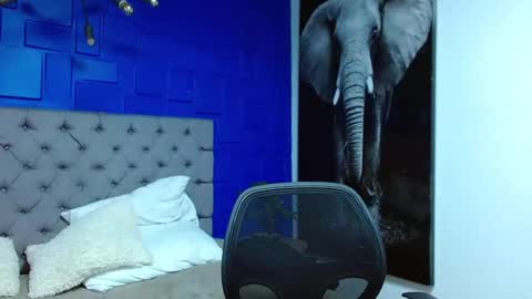 Snapshot of andre_parker chatting on 1, 3, 2025 Andre Parker online show from 1, 3, 2025