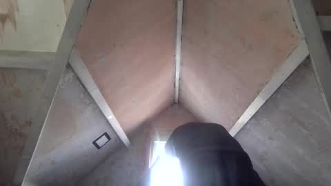 Andrew online show from 1, 4, 2026