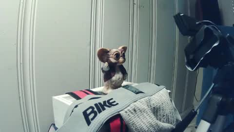 andy_552 online show from 18, 9, 2025