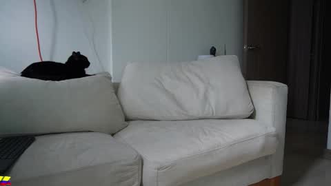 Snapshot of andy_weld chatting on 28, 3, 2026 my onlyfans online show from 28, 3, 2026