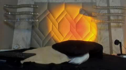 andy palmer online show from 5, 1, 2025