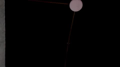 andy palmer online show from 30, 1, 2025