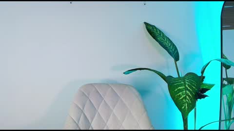 andy palmer online show from 6, 11, 2025