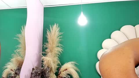 Snapshot of aneesaval chatting on 25, 1, 2025 ANEE SAVAL online show from 25, 1, 2025