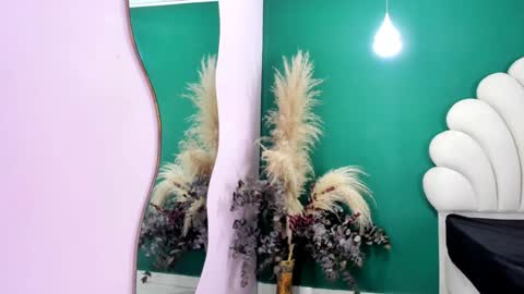 Snapshot of aneesaval chatting on 26, 1, 2025 ANEE SAVAL online show from 26, 1, 2025