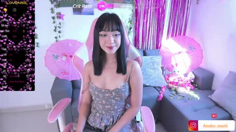 Snapshot of aneko_morii chatting on 12, 12, 2024 online show from 12, 12, 2024