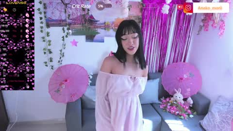 Snapshot of aneko_morii chatting on 13, 12, 2024 online show from 13, 12, 2024