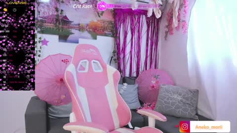 Snapshot of aneko_morii chatting on 29, 12, 2024 online show from 29, 12, 2024
