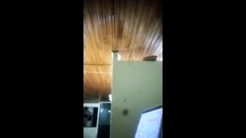 Snapshot of angel_dust9 chatting on 3, 2, 2026 Angel dust9 online show from 3, 2, 2026