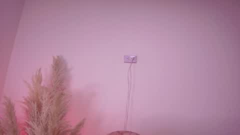 Snapshot of angelawhitte_ chatting on 5, 2, 2025 Angela Big boobs White online show from 5, 2, 2025