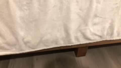 Mira13 online show from 14, 2, 2026