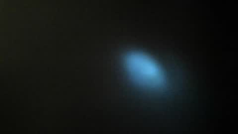 annita online show from 16, 12, 2024