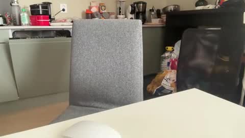 AngelHarly online show from 8, 3, 2025