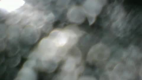 angeltta69 online show from 8, 4, 2026