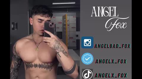Angel Fox online show from 26, 11, 2025