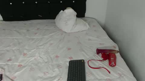 ani_steveson online show from 26, 2, 2026