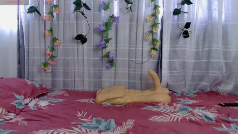 anissa_lee online show from 26, 12, 2024