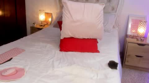   online show from 9, 9, 2025