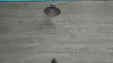 annasplash online show from 12, 3, 2025