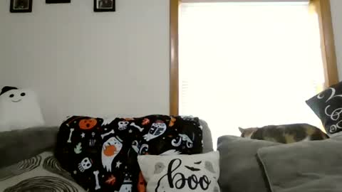 anne online show from 28, 10, 2025