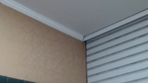       online show from 15, 1, 2026