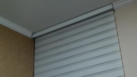       online show from 10, 2, 2026