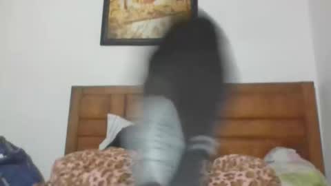 Snapshot of annubis420 chatting on 9, 10, 2025 Annubis420 online show from 9, 10, 2025