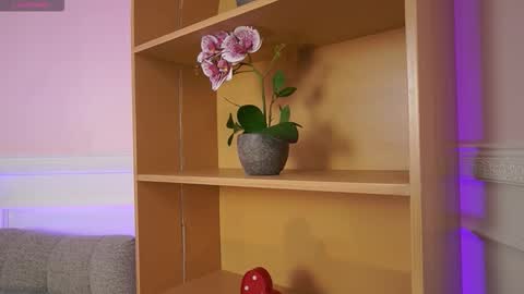 Ana online show from 7, 11, 2025