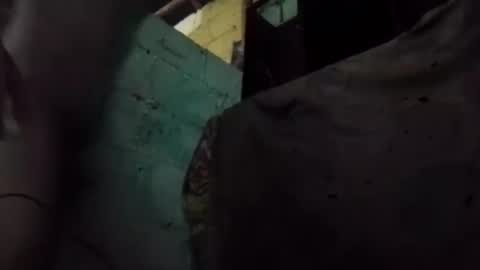 anonimode18cm1 online show from 16, 3, 2026