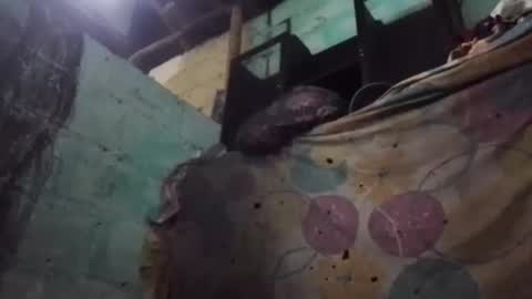 anonimode18cm1 online show from 19, 3, 2026