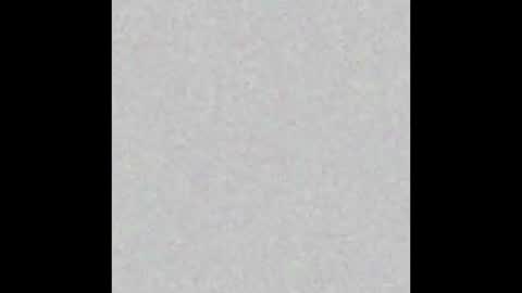 Antonella14Dominic online show from 11, 2, 2026