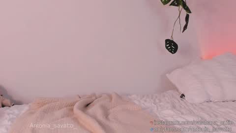 o ANTO online show from 22, 1, 2025