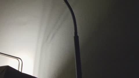 Daddy online show from 9, 1, 2026