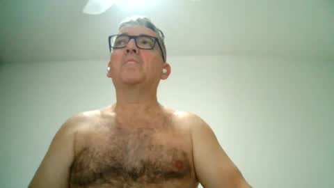 Snapshot of apixaba chatting on 21, 2, 2025 furry bear online show from 21, 2, 2025