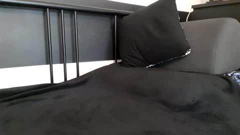 apollobest77 online show from 23, 9, 2025