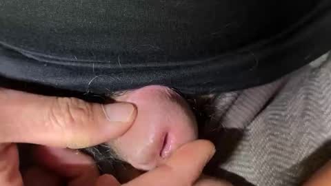 apple2761 online show from 13, 11, 2025