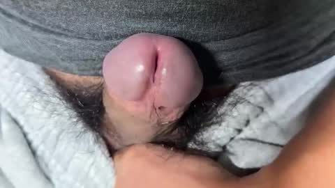 apple2761 online show from 28, 11, 2025