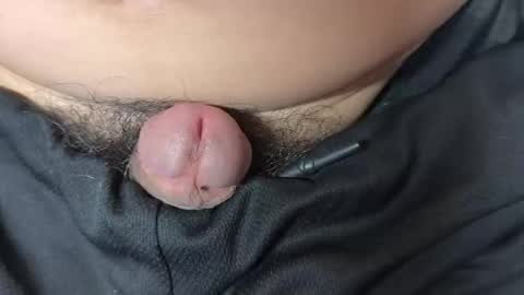 apple2761 online show from 22, 12, 2025