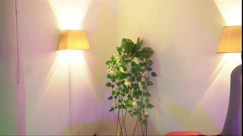 insta appolo master online show from 26, 11, 2025