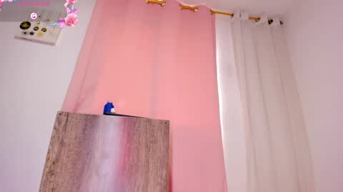 April  online show from 24, 2, 2025