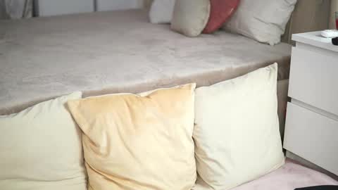 Laura online show from 5, 12, 2025