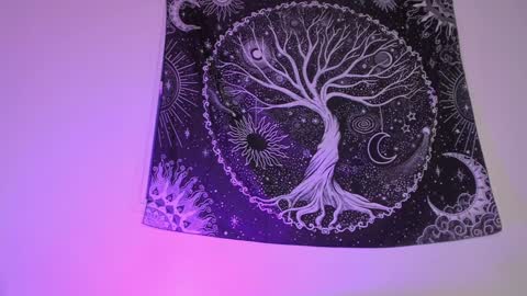 Aram 3 online show from 27, 1, 2025