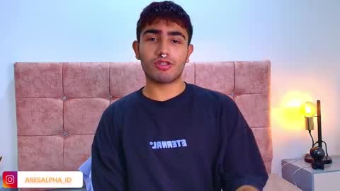 Snapshot of ares_alpha chatting on 11, 10, 2025 Ares Alpha  online show from 11, 10, 2025