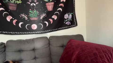 Aria Fields online show from 4, 12, 2024