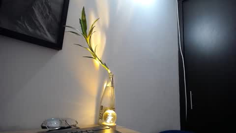 Snapshot of aria_jhonsson777 chatting on 10, 1, 2026 777 online show from 10, 1, 2026