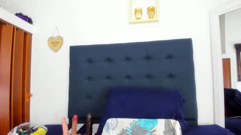  ARI  online show from 22, 1, 2025