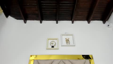  ARI  online show from 3, 3, 2025