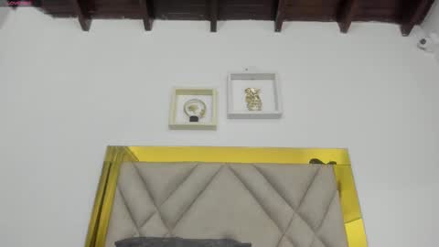  ARI  online show from 12, 3, 2025